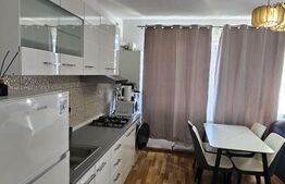 Apartament semidecomandat, zona Terra