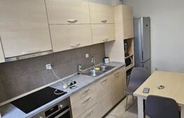 Apartament 61 mp, mobilat si utilat, cu parcare, zona Stadionului