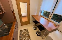 Apartament cu o camera, zona Rivus 