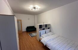 Apartament cu o camera, zona Rivus 