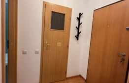 Apartament cu o camera, zona Rivus 