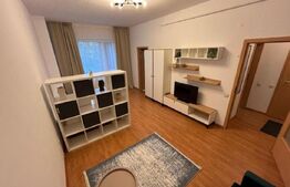 Apartament cu o camera, zona Rivus 