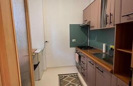 Apartament cu o camera, zona Rivus 