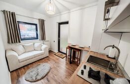 Apartament 1 camera, 30 mp, parcare, zona centrala