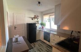 Apartament 2 camere la casa, 52 mp, Semicentral