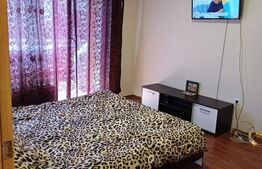 Apartament 1 camera, expunere sudica, etaj 2, zona Eroilor