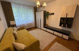 Apartament 2 camere, 47 mp, zona Parc Central