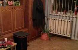 Apartament 3 camere, 67 mp, decomandat, parcare, boxa, zona Profi