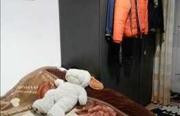 Apartament 3 camere, 67 mp, decomandat, parcare, boxa, zona Profi