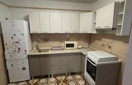 Apartament 2 camere, complet mobilat si utilat, parcare, zona Teilor
