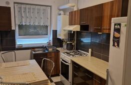 URGENT,garsoniera de vanzare, 34 mp, cu gardina de 12 mp, Avangarden 3