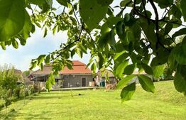 Casa renovata in Luna, lângă Câmpia Turzii 