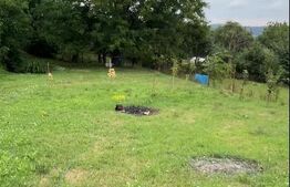 Casa renovata in Luna, lângă Câmpia Turzii 