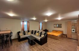 Apartament tip studio, 50 mp, terasa, zona Ultracentrala