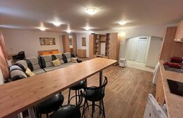 Apartament tip studio, 50 mp, terasa, zona Ultracentrala