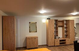 Apartament tip studio, 50 mp, terasa, zona Ultracentrala