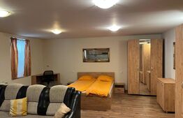 Apartament tip studio, 50 mp, terasa, zona Ultracentrala