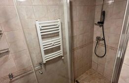 Apartament tip studio, 50 mp, terasa, zona Ultracentrala