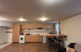 Apartament tip studio, 50 mp, terasa, zona Ultracentrala