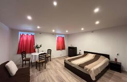 Apartament cu 1 camera, 40 mp, terasa, zona Ultracentrala