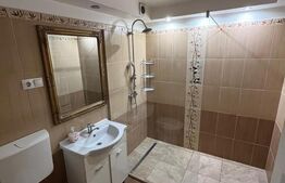 Apartament cu 1 camera, 40 mp, terasa, zona Ultracentrala