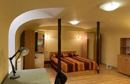 Apartament tip studio, 40 mp, terasa, zona Ultracentrala