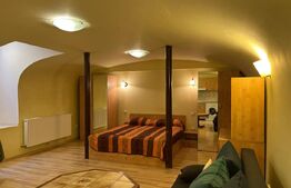 Apartament tip studio, 40 mp, terasa, zona Ultracentrala