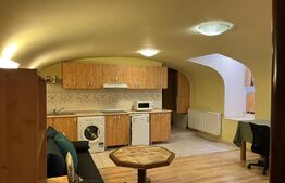 Apartament tip studio, 40 mp, terasa, zona Ultracentrala