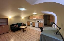 Apartament tip studio, 40 mp, terasa, zona Ultracentrala