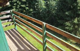 Cabana finalizată, cu teren Muntele Rece