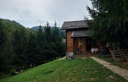 Cabana finalizată, cu teren Muntele Rece