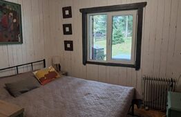 Cabana de vânzare în Mărișel