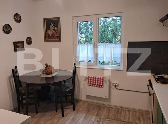 Casa de vânzare 6 camere Mărişel - 177064CV | BLITZ Cluj-Napoca | Poza7