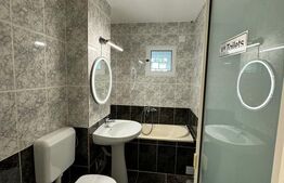 Apartament 2 camere, renovat, zona Grivitei, potential spatiu comercial