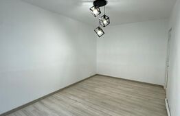 Apartament 2 camere, renovat, zona Grivitei, potential spatiu comercial