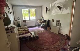 Apartament 3 camere cu acces stradal, potrivit ptr birouri, cabinet medical