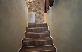 Vila zona superba Predeal 