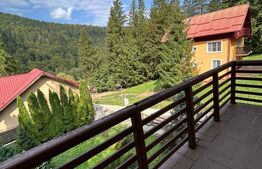 Vila zona superba Predeal 