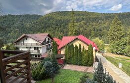 Vila zona superba Predeal 