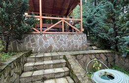 Vila zona superba Predeal 