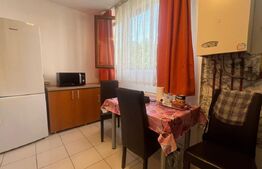 Garsoniera de închiriat, 35 mp, zona Manastur 