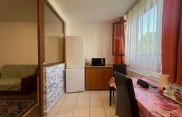 Garsoniera de închiriat, 35 mp, zona Manastur 