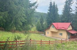 EXCLUSIV BLITZ !  Cabana in statiunea Muntele Baisorii