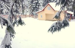 EXCLUSIV BLITZ !  Cabana in statiunea Muntele Baisorii