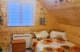 EXCLUSIV BLITZ !  Cabana in statiunea Muntele Baisorii