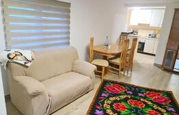 EXCLUSIV BLITZ !  Cabana in statiunea Muntele Baisorii