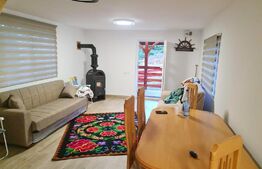 EXCLUSIV BLITZ !  Cabana in statiunea Muntele Baisorii