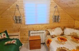 EXCLUSIV BLITZ !  Cabana in statiunea Muntele Baisorii