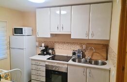 EXCLUSIV BLITZ !  Cabana in statiunea Muntele Baisorii