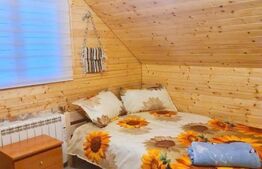 EXCLUSIV BLITZ !  Cabana in statiunea Muntele Baisorii